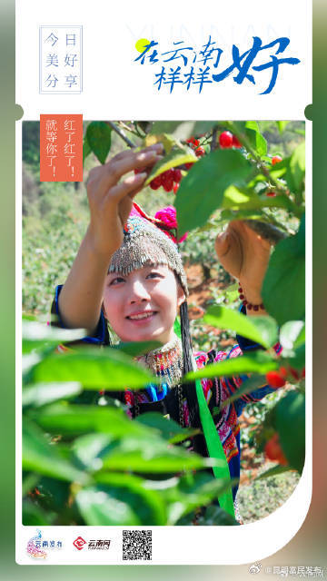在云南样样好丨红了红了！就等你了！