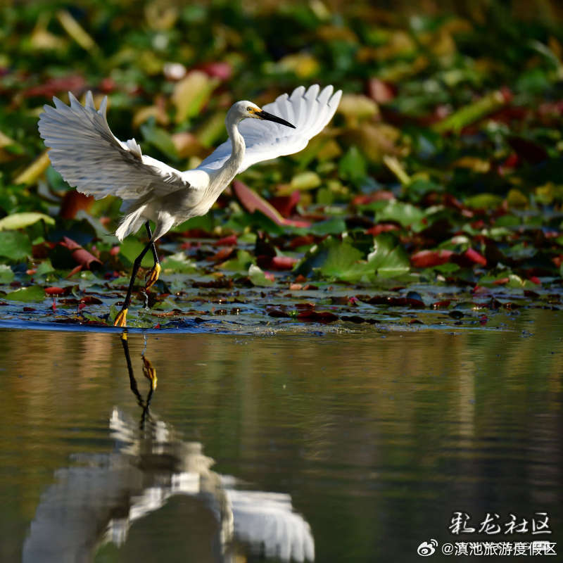 滇池旅游度假区