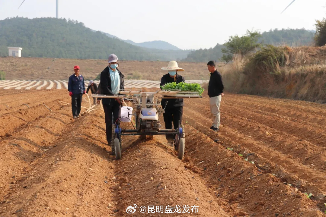 昆明盘龙发布
