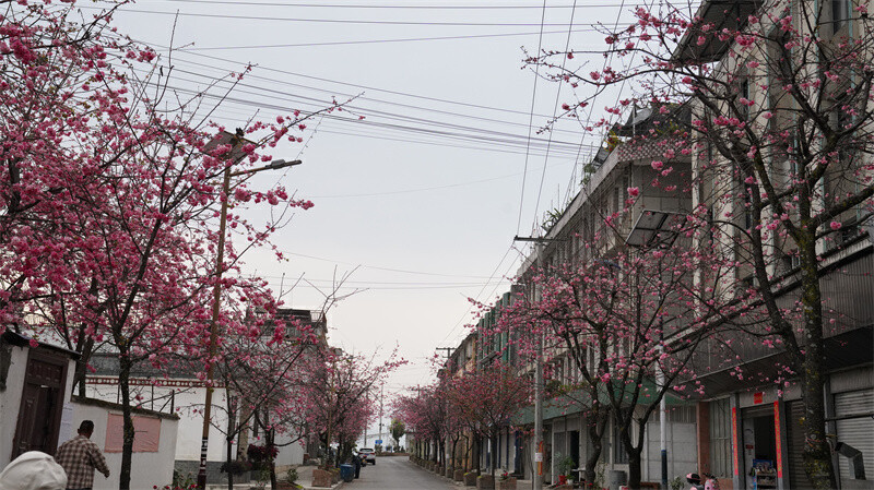 云南省文化和旅游厅