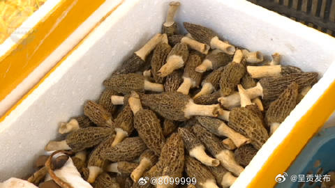 呈贡发布