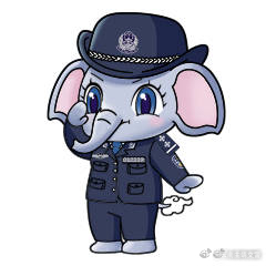 云南曲靖交警