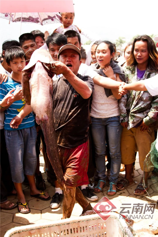 云南省文化和旅游厅