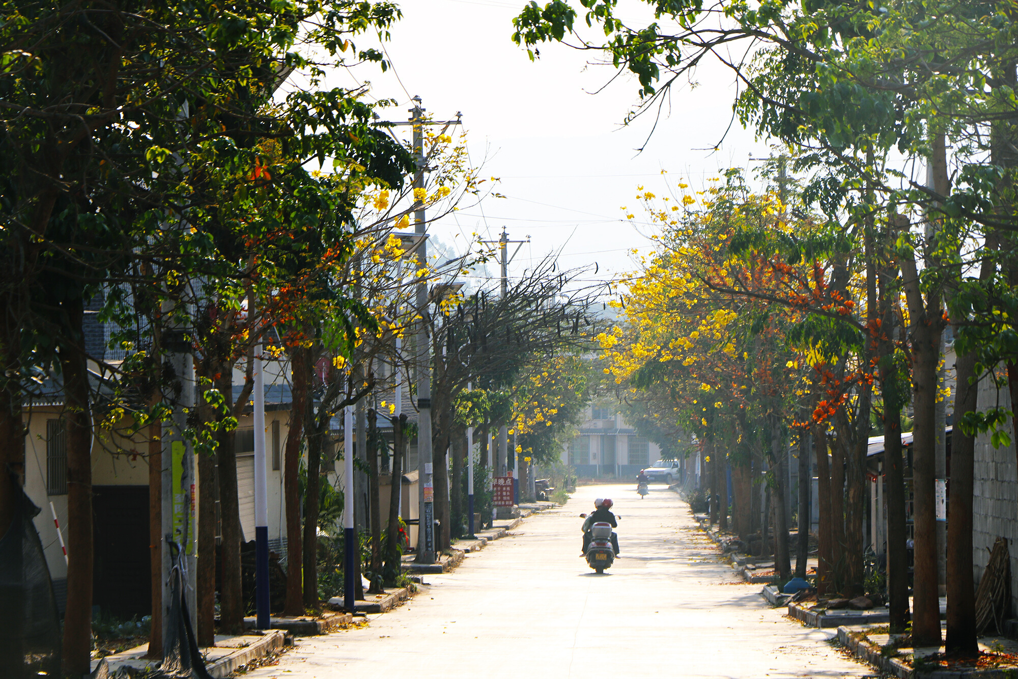 云南省文化和旅游厅