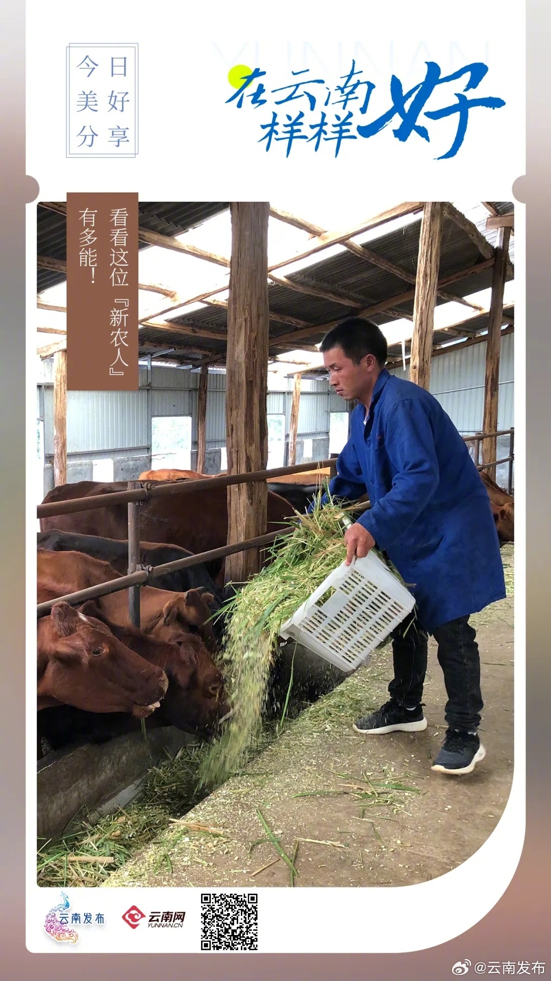 看看这位“新农人”有多能！