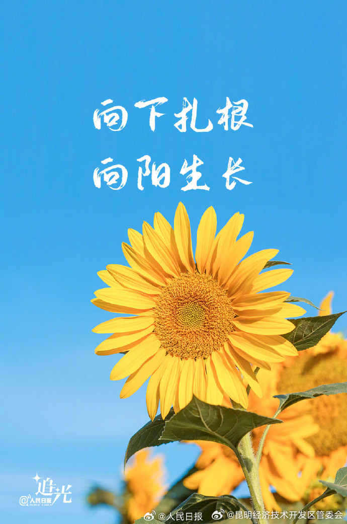 昆明经济技术开发区管委会