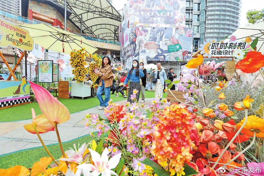 云南首届花植互动市集开市