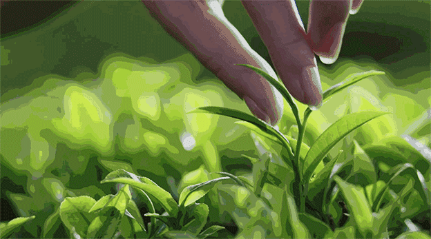 常喝绿茶有助防流感 