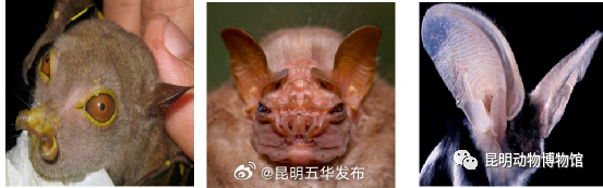 昆明五华发布