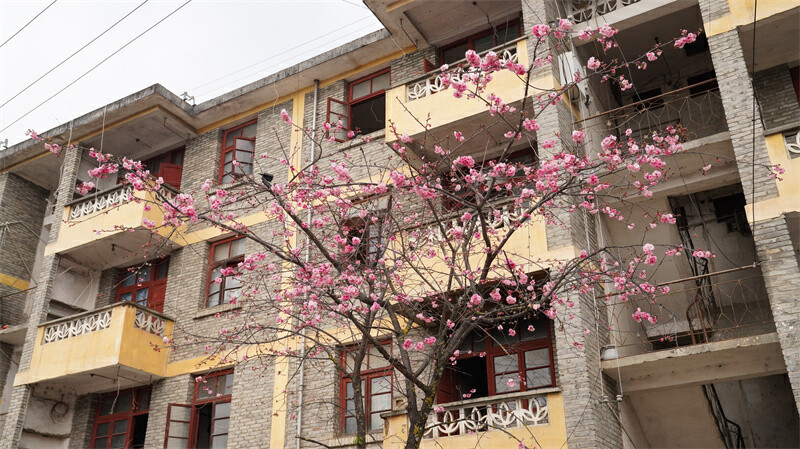 云南省文化和旅游厅