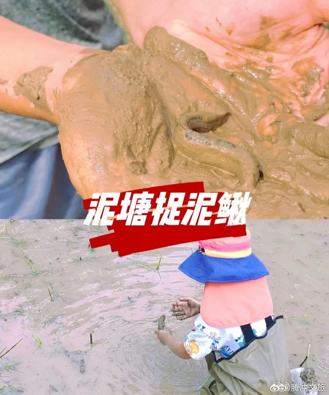 首届新岐·露营节邀你“趣”撒野~_http://www.mainten.cn_ycb_第2张