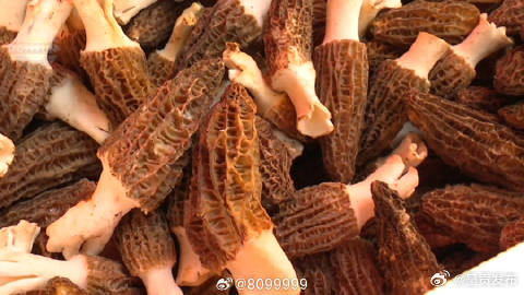 呈贡发布