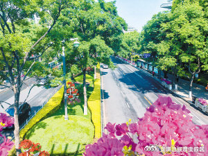 人民中路无处不飞花