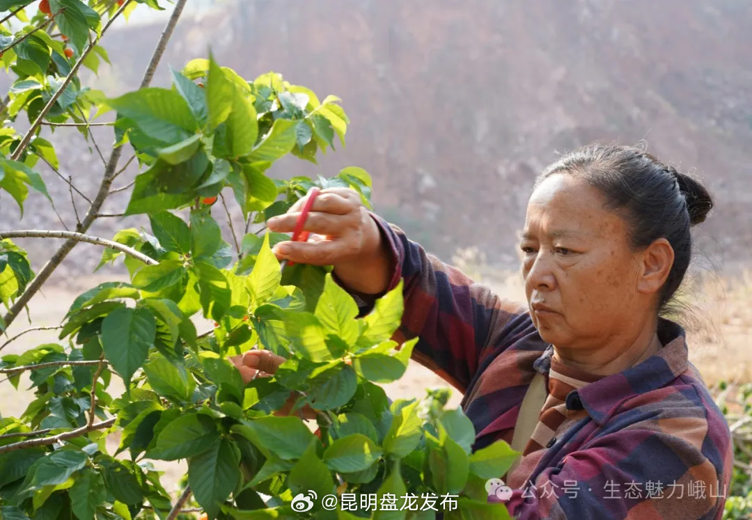 昆明盘龙发布