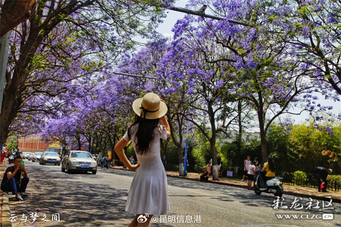 “潮尚春城·共阅繁花”——爱“阅”之城昆明新型文化空间漫游活动4月24日启动_http://www.mainten.cn_ycb_第2张