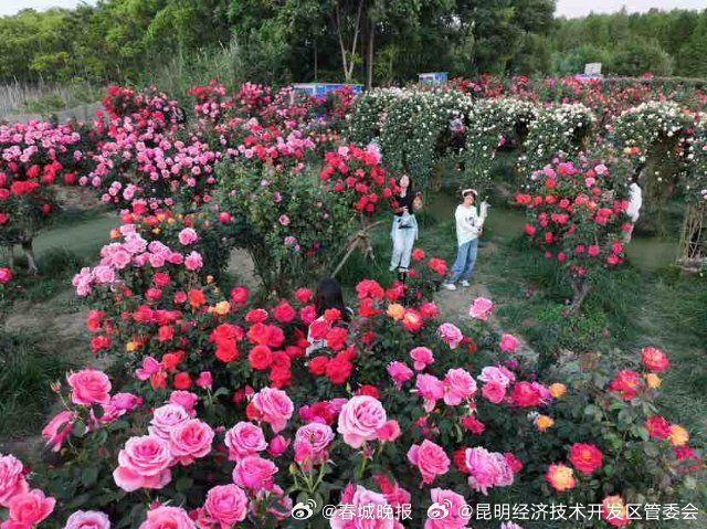昆明经济技术开发区管委会