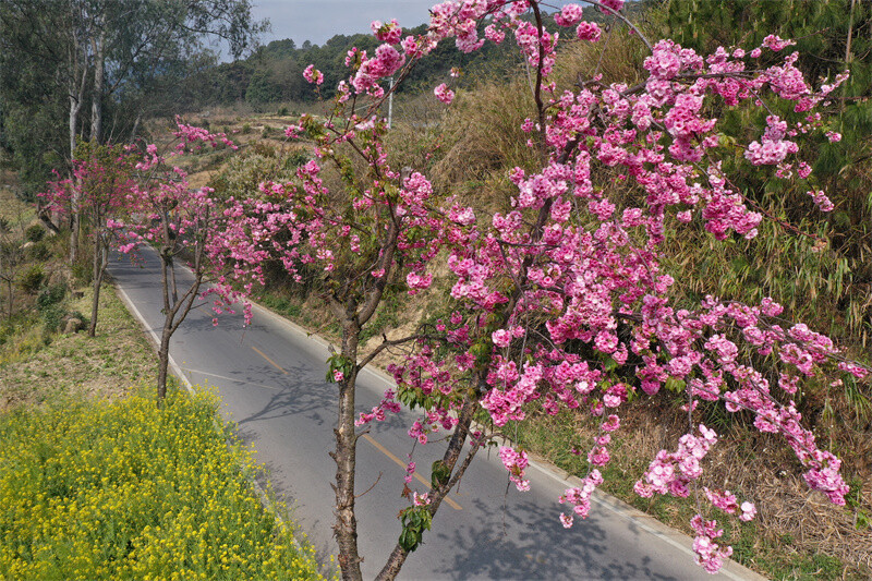 云南省文化和旅游厅