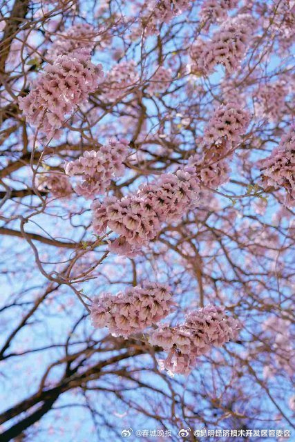 昆明经济技术开发区管委会