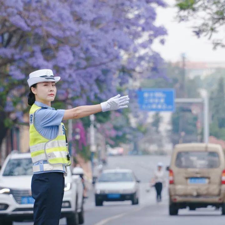 “顶流”蓝花楹即将上线 打卡看这→_http://www.mainten.cn_ycb_第1张