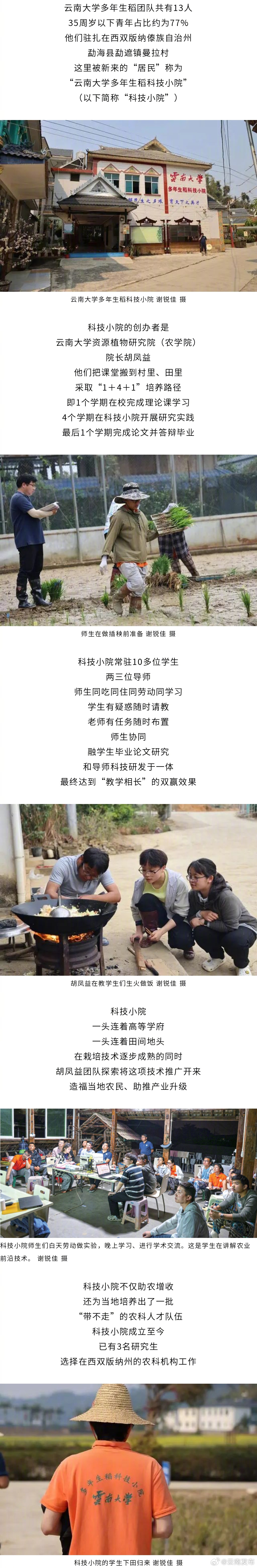 云南一团队在列！第28届中国青年五四奖章个人（集体）入围名单公示