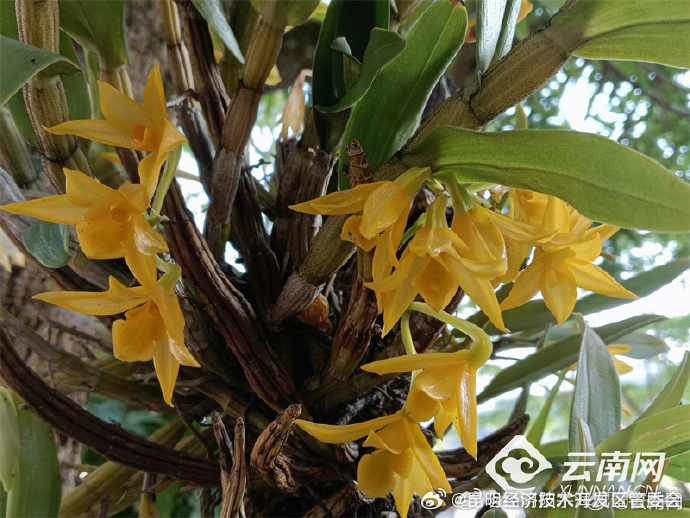 昆明经济技术开发区管委会