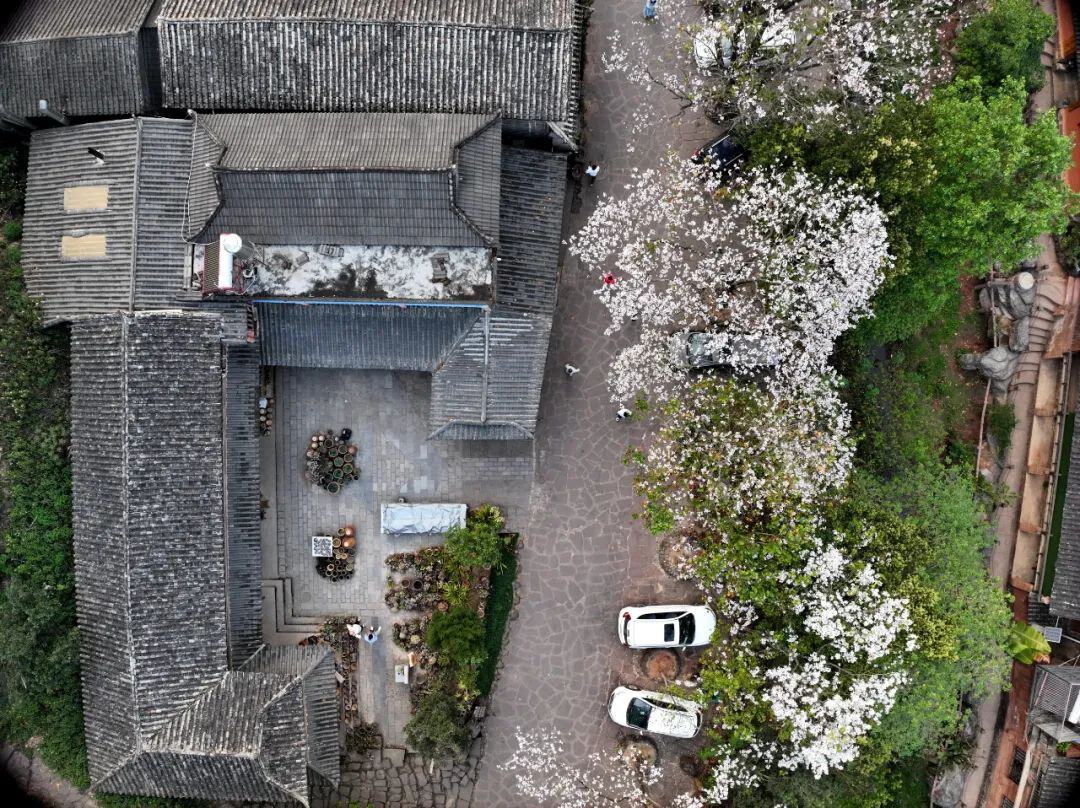 云南省文化和旅游厅