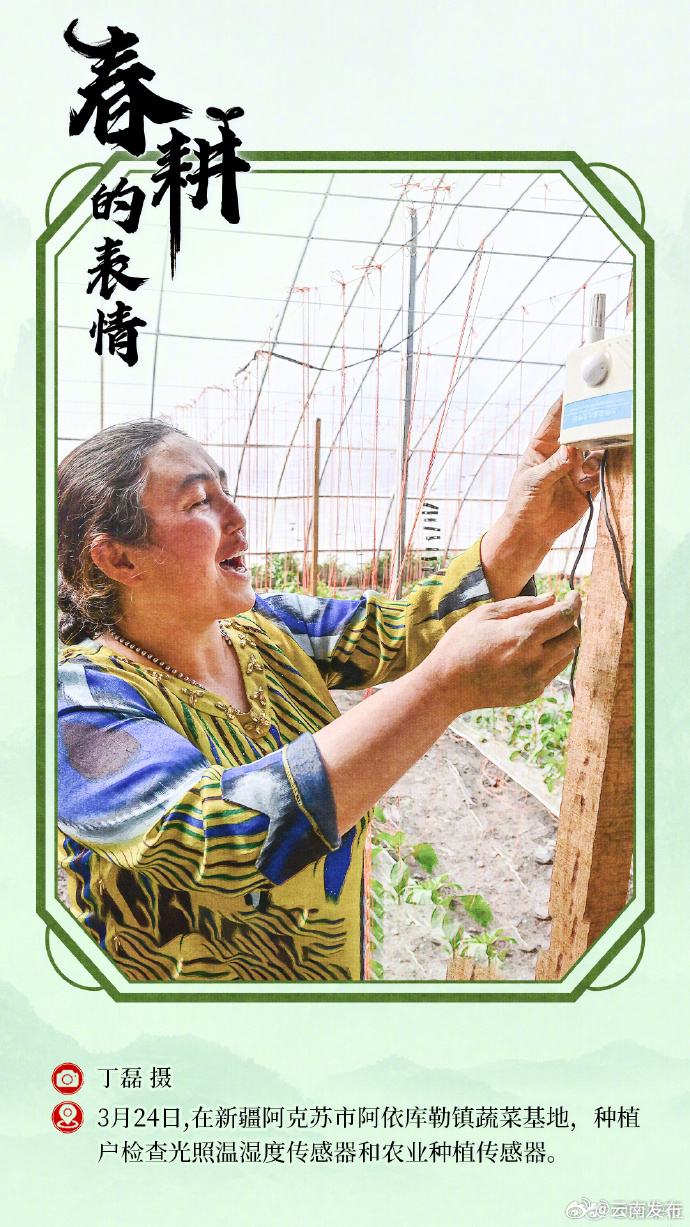 云南发布