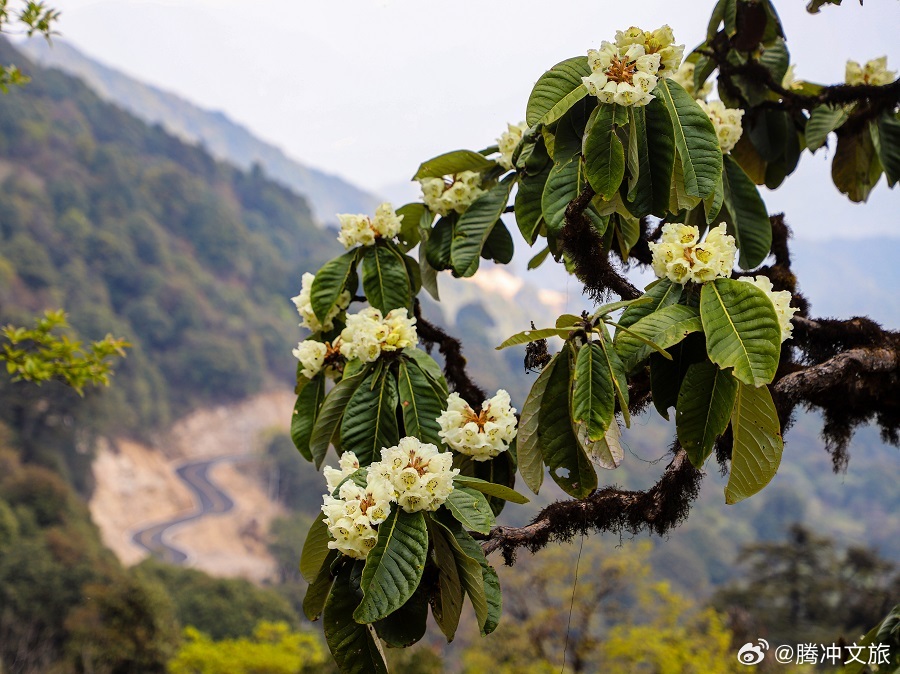 腾冲文旅