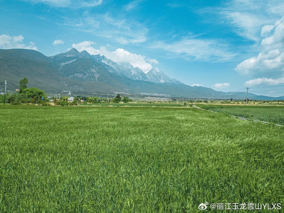丽江玉龙雪山YLXS