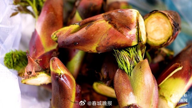 在大理宾川吃一桌野菜，把春天留在肚子里_http://www.mainten.cn_ycb_第8张