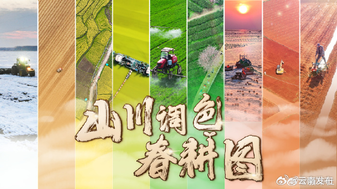 云南发布