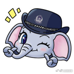 云南曲靖交警