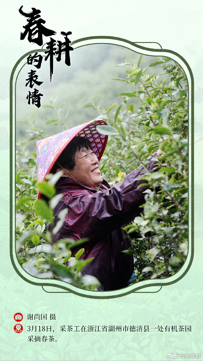 云南发布