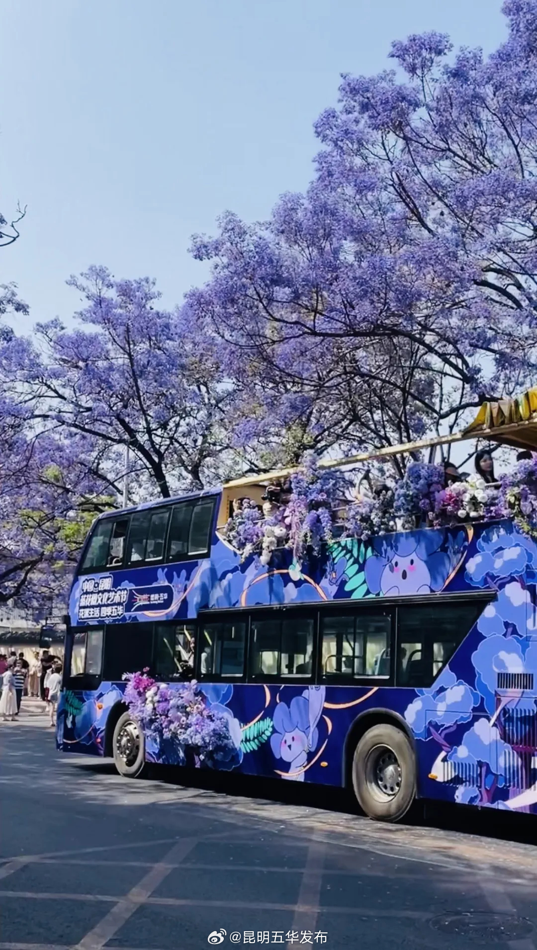 绝美“梦幻紫”～真的很“哇塞”