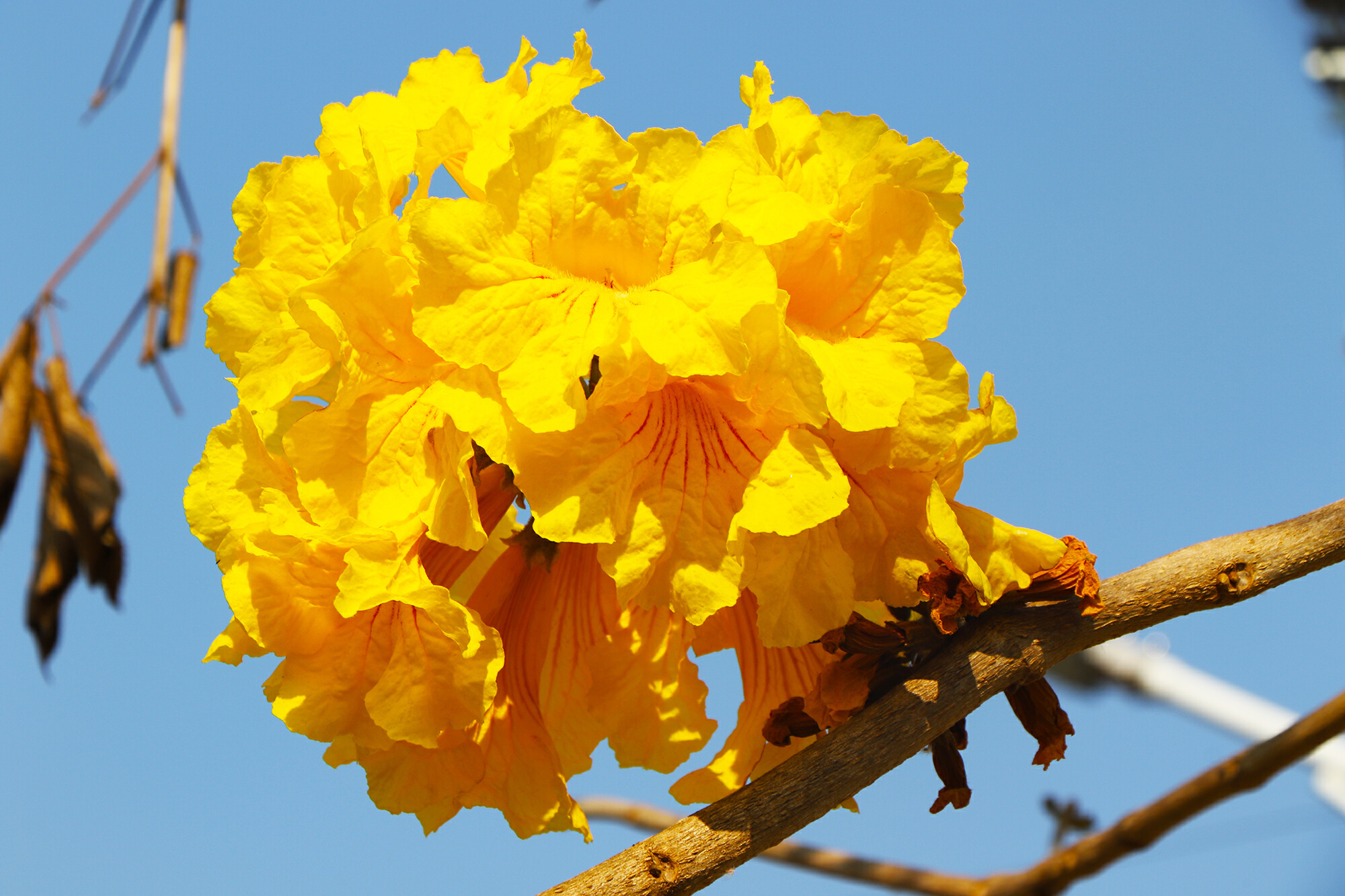 云南省文化和旅游厅