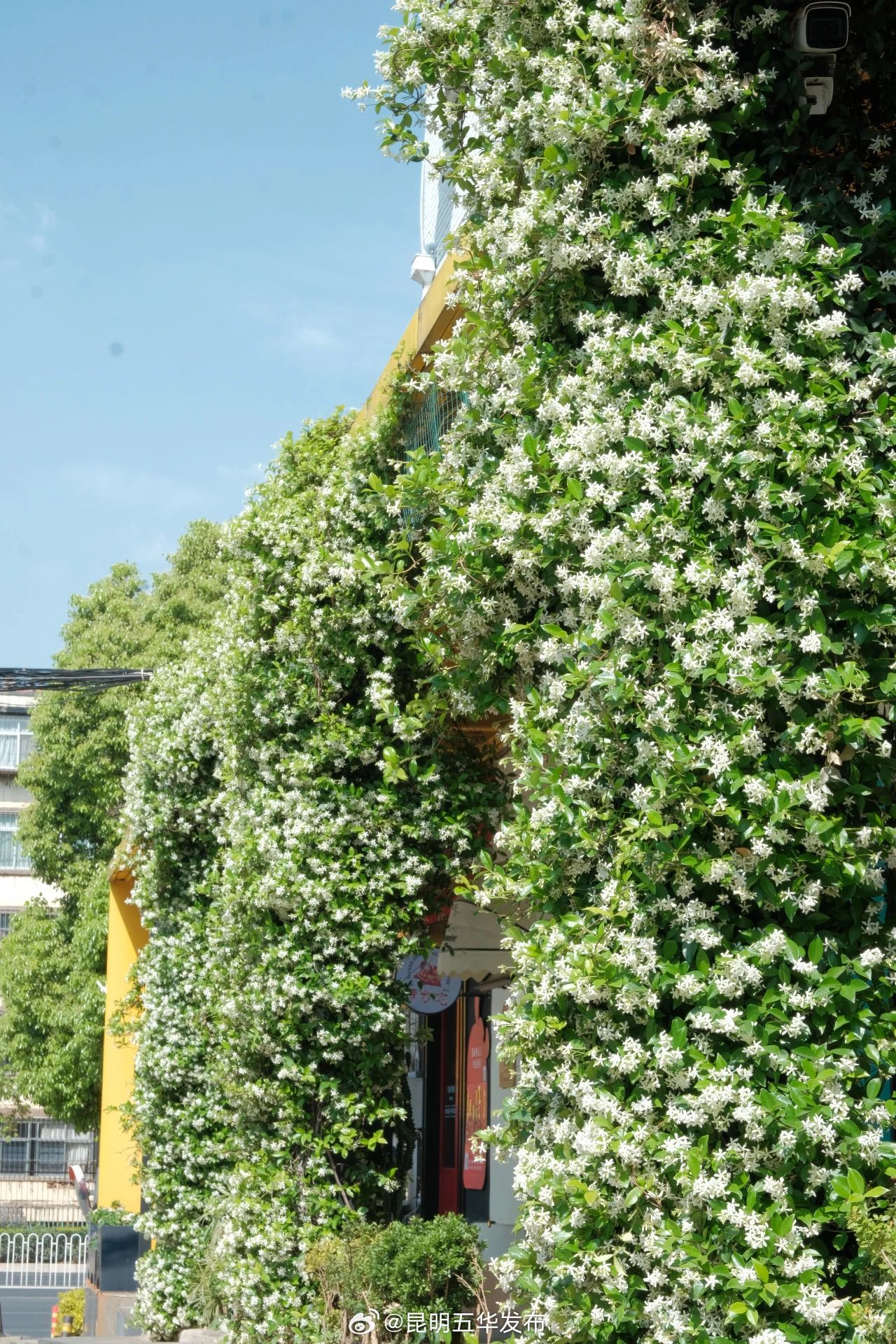 昆明五华发布