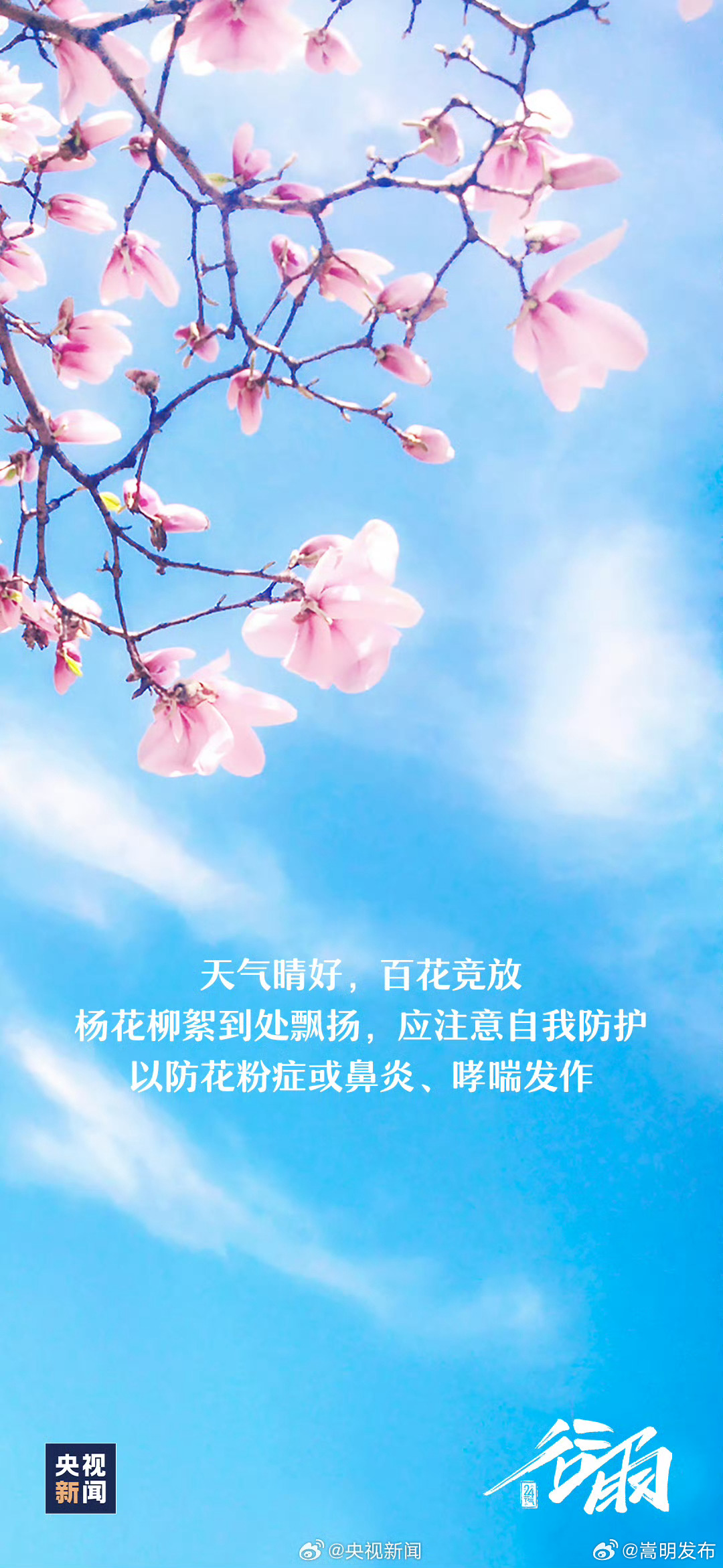 嵩明发布
