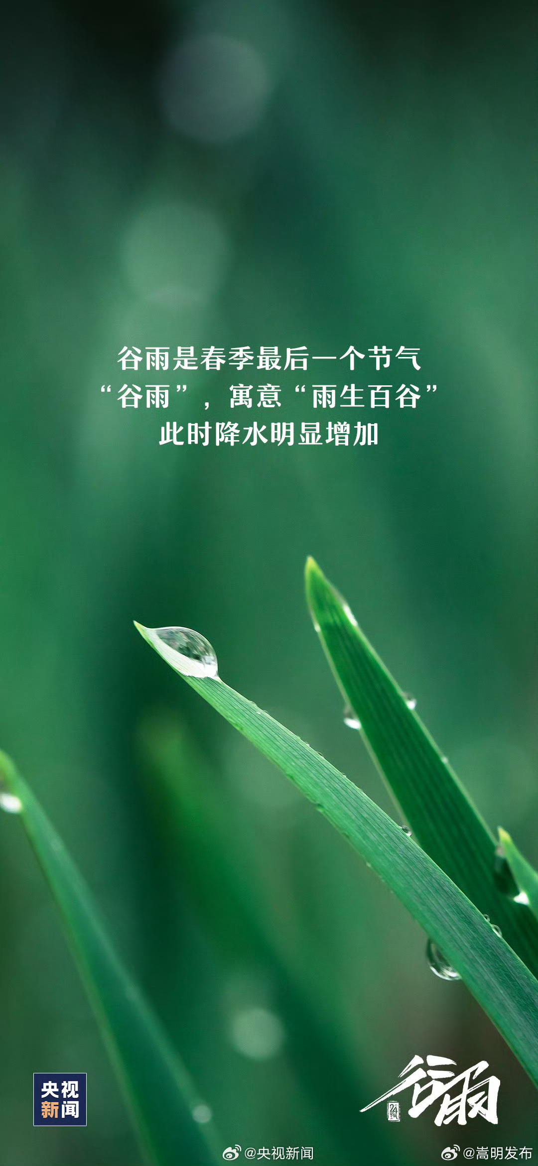 嵩明发布