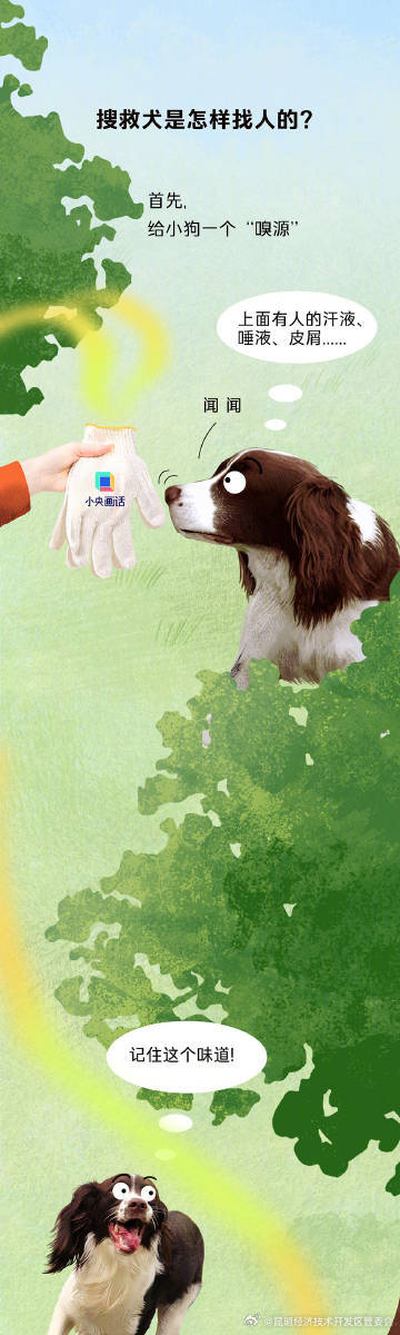 搜救犬的职责不只有震后搜救，还有水上救援、雪上搜救......_http://www.mainten.cn_ycb_第8张