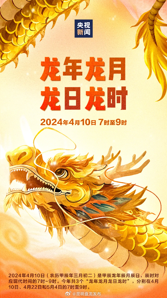 开屏策划｜今天，云南“含龙量”超标！