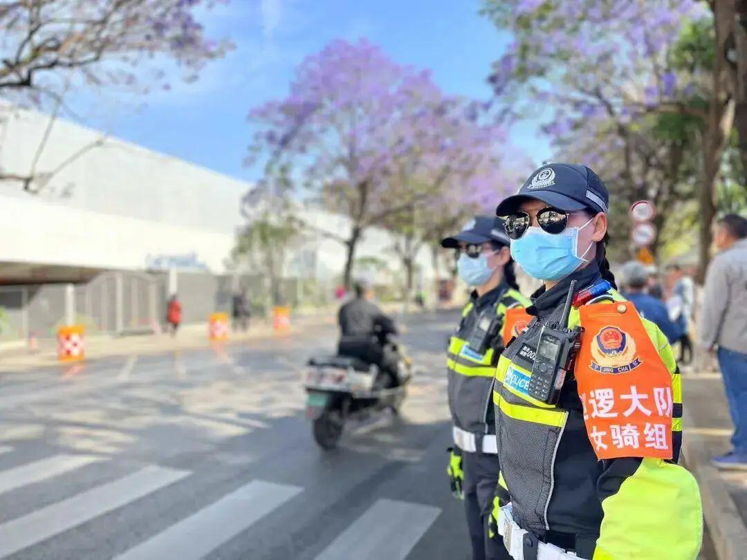 “顶流”蓝花楹即将上线 打卡看这→_http://www.mainten.cn_ycb_第3张