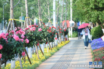 昆明经济技术开发区管委会