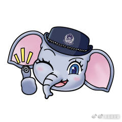 云南曲靖交警
