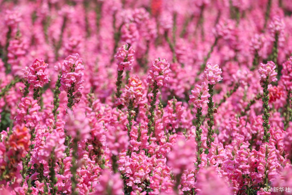 云南省文化和旅游厅
