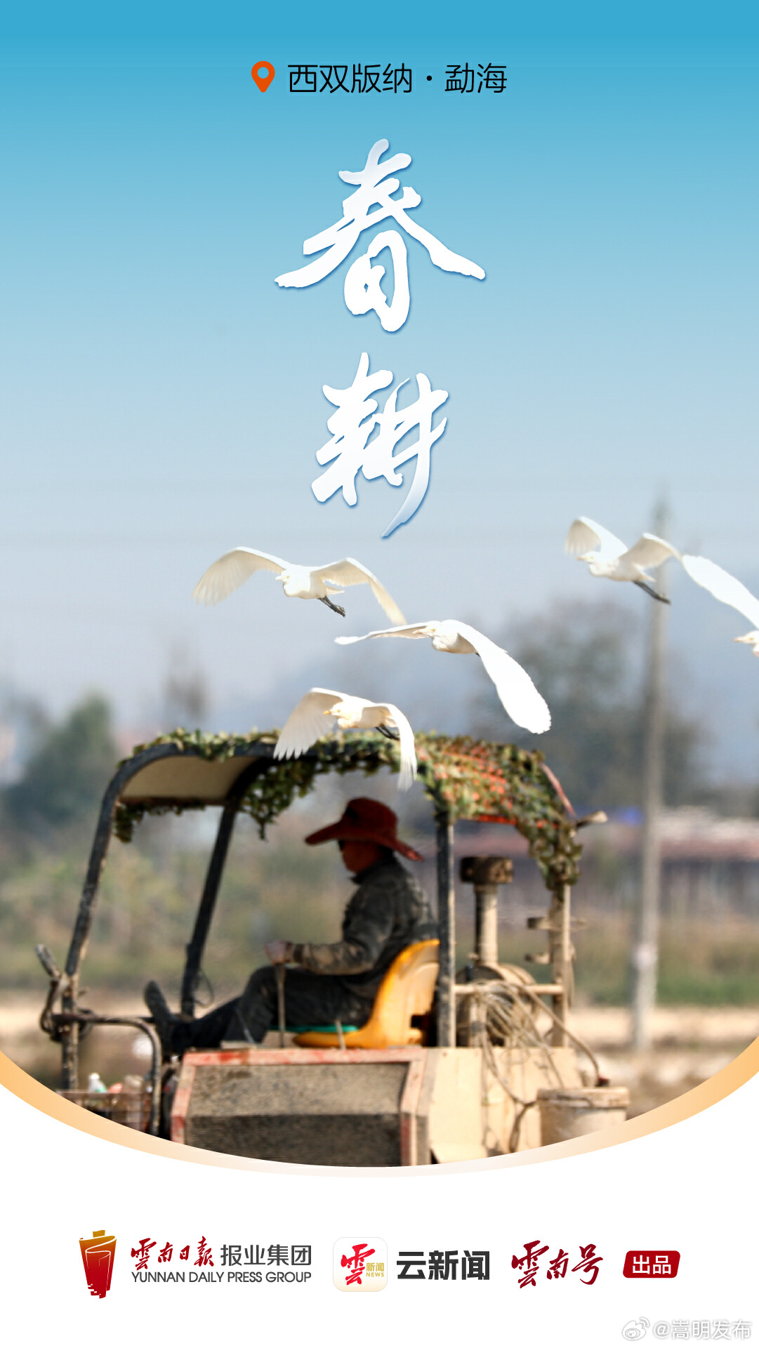 云岭春耕图，不负农时不负春