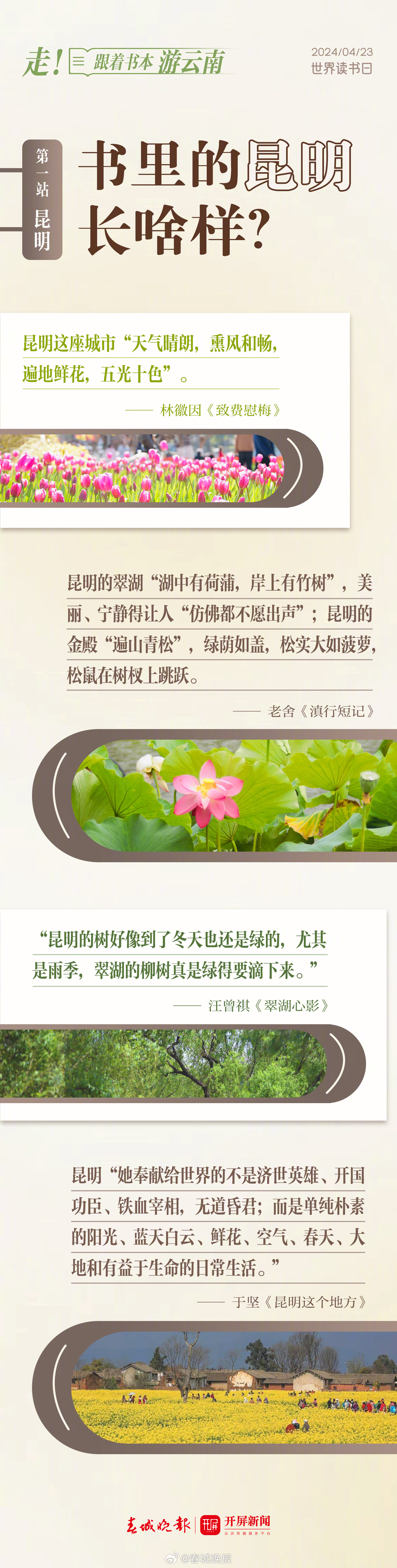 春城晚报