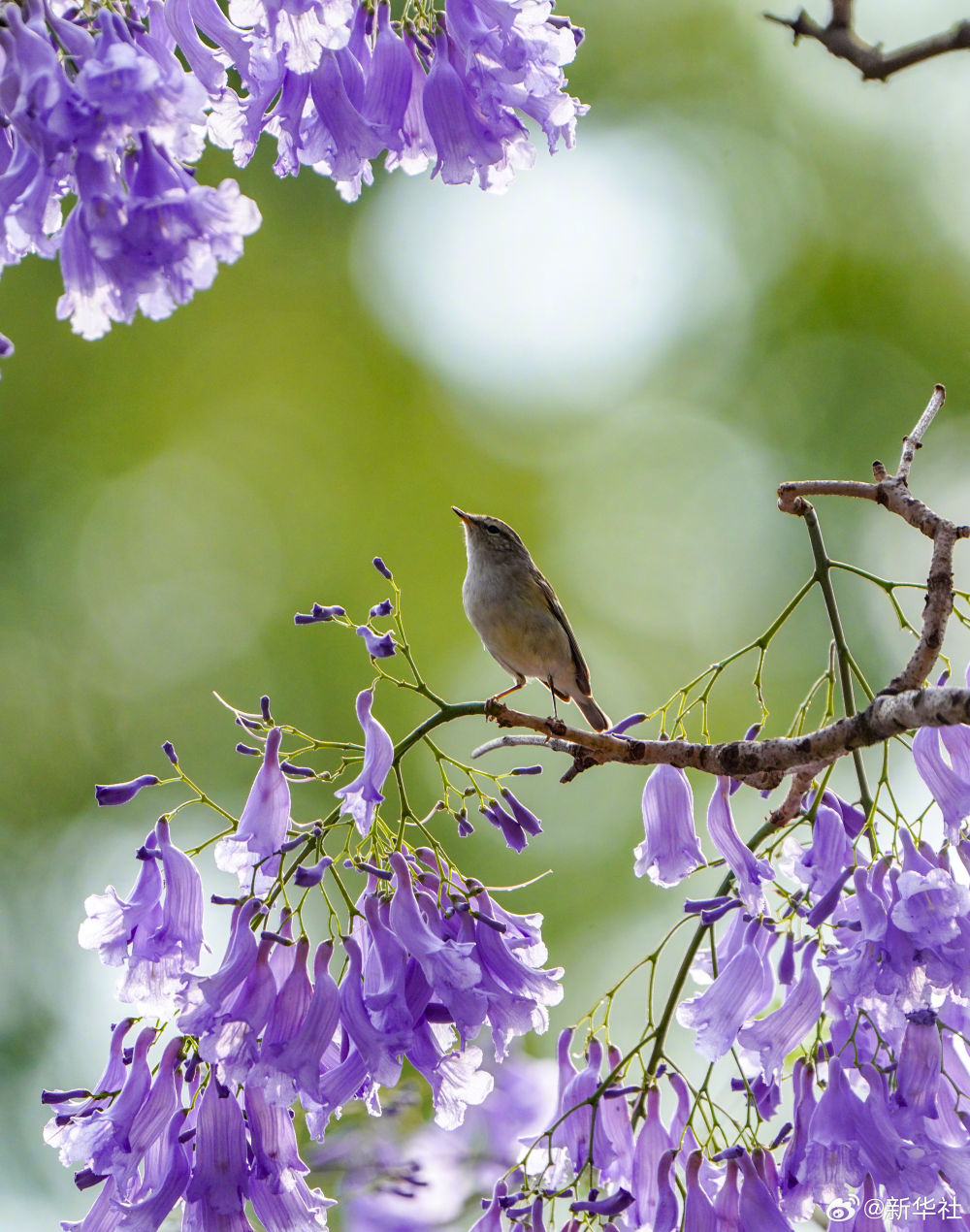 云南省文化和旅游厅