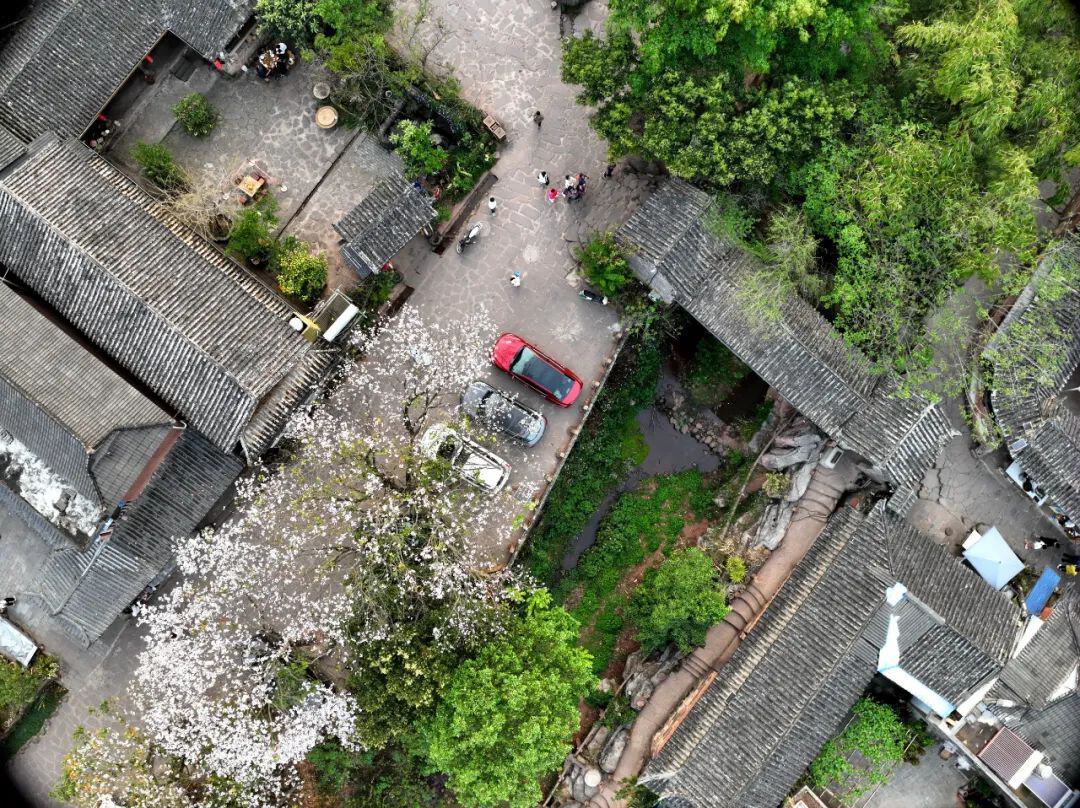 云南省文化和旅游厅