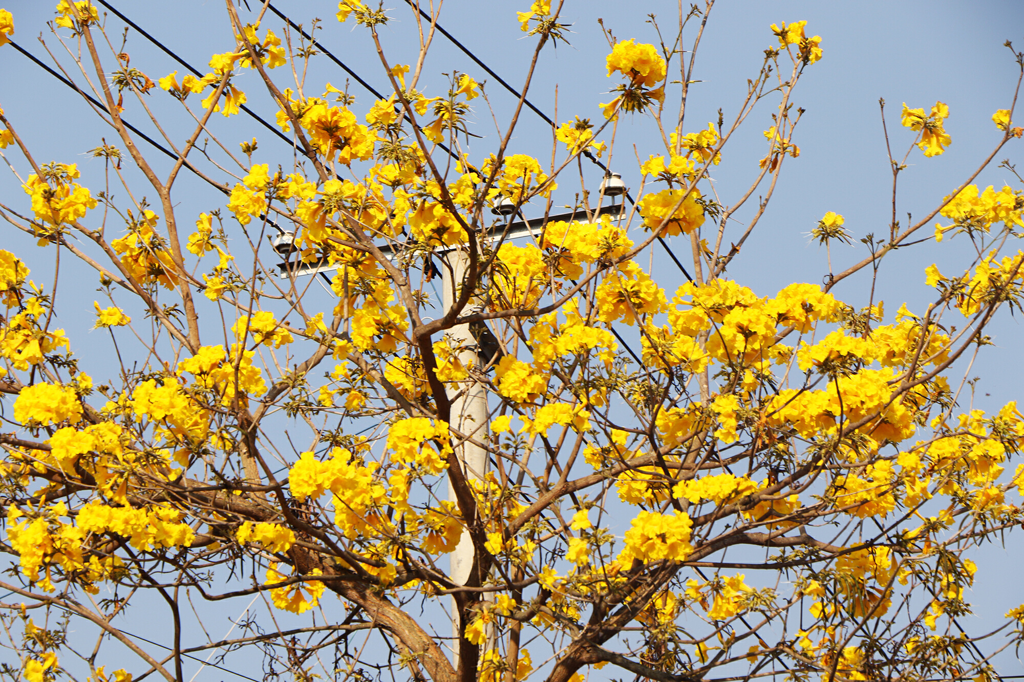 云南省文化和旅游厅