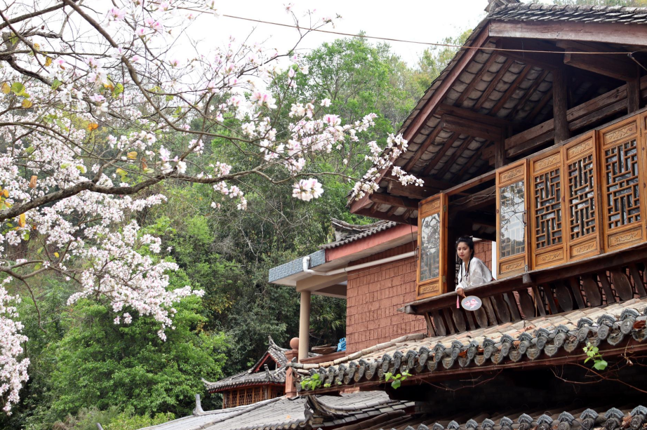 云南省文化和旅游厅